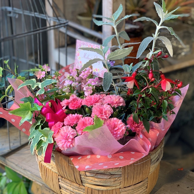 母の日ギフト【季節の花寄せバスケット　約5種類】　宅配便限定商品