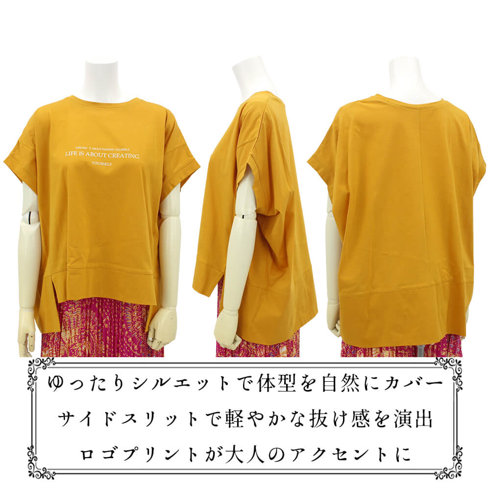 �ڲ�ʪ���ꥢ��󥹡�30��OFF�ۥ��åȥ��� ��ǥ����� �ѻ����� �ץ��� ��100�� �����奢�� ��������å��� �����С������� �η����С� ���ô� 2026ǯ�ղ�  38�� �ե꡼������ ����ɡ��� ���ꥢ���쥢