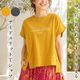 �ڲ�ʪ���ꥢ��󥹡�30��OFF�ۥ��åȥ��� ��ǥ����� �ѻ����� �ץ��� ��100�� �����奢�� ��������å��� �����С������� �η����С� ���ô� 2026ǯ�ղ�  38�� �ե꡼������ ����ɡ��� ���ꥢ���쥢