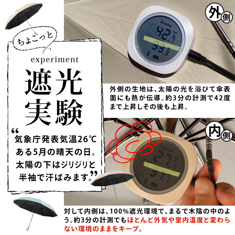 単色  |  10本骨  商品画像