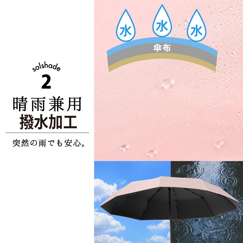 単色  |  10本骨  商品画像