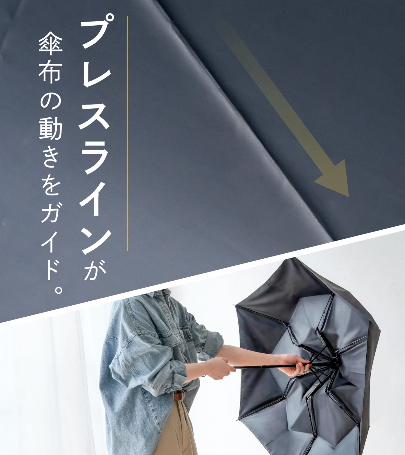 単色  | Sara形状記憶  | BIG 商品画像