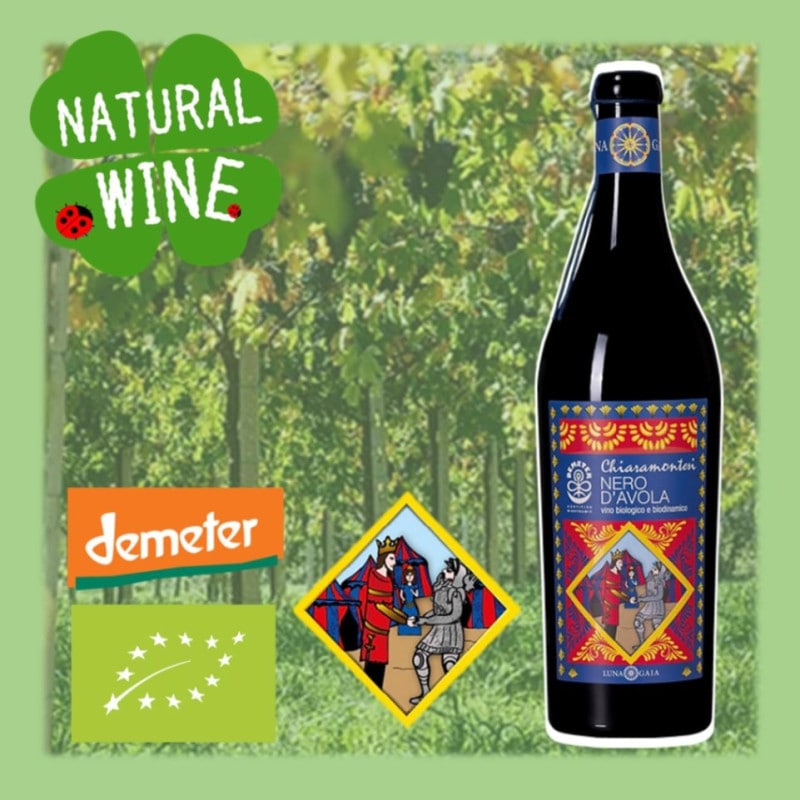 アナベルとエリンジウムのリース パンパスグラス グレベリア アナベル