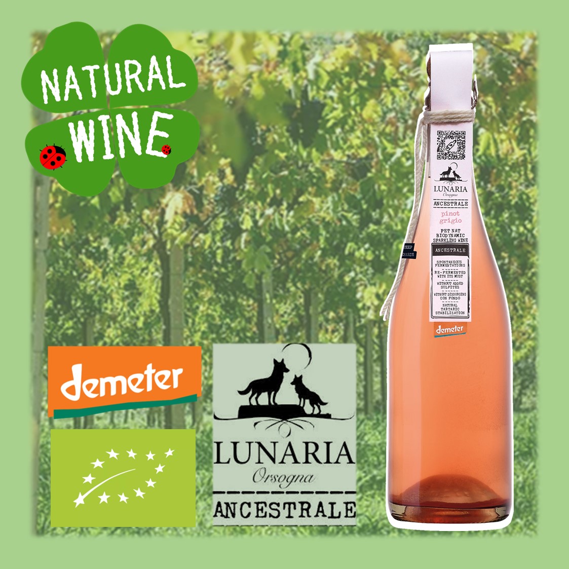 Lunaria Pinot Grigio 750ml ×2本 Lunaria Pinot Grigio 750ml ×2本 2200] LUNARIA Pinot Grigio 2024