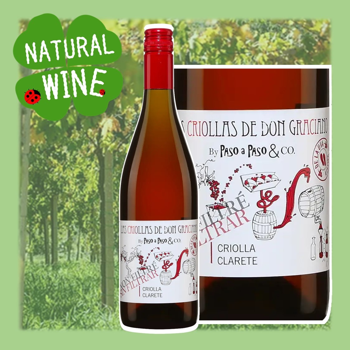 ボデガス・リオハナス　モンテ・レアル　1961年　赤ワイン　ヴィンテージワイン 1961年のワイン | ヴィンテージワイン専門店【プラチナワイン】