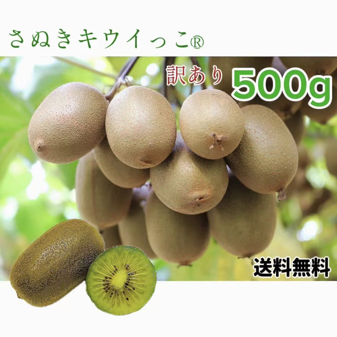 香川の太陽育ち！さぬきキウイっこ〈訳あり甘熟〉　500ｇ