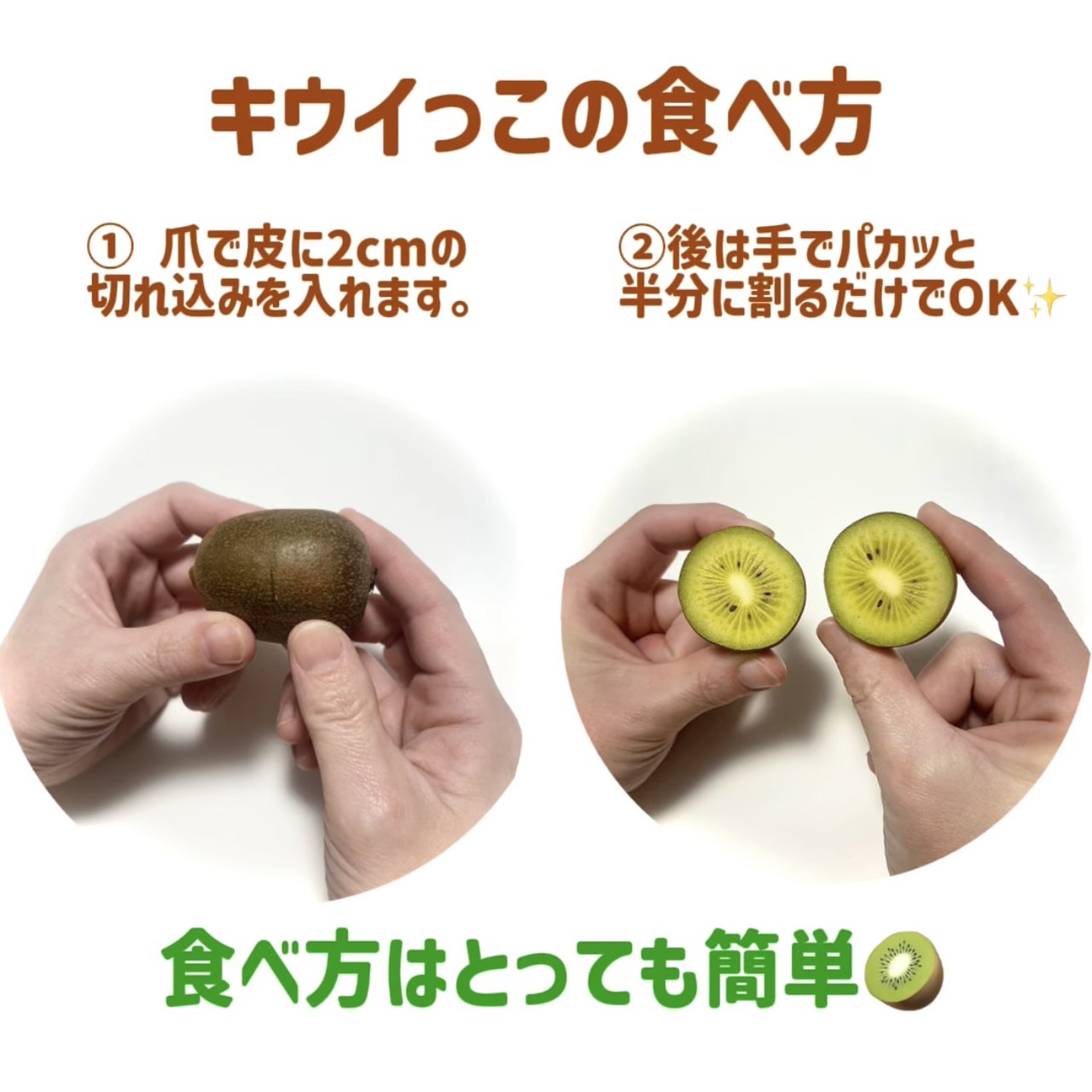 選び抜かれた一粒。さぬきキウイっこ〈特選〉1kg