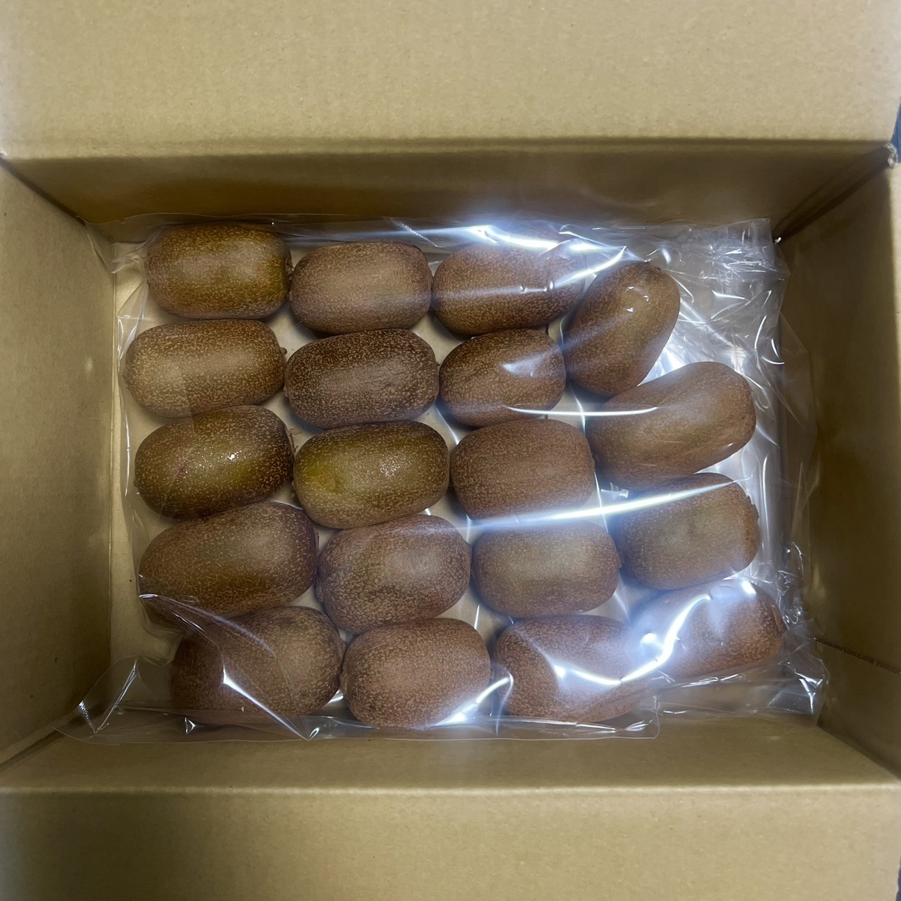 選び抜かれた一粒。さぬきキウイっこ〈特選〉1kg