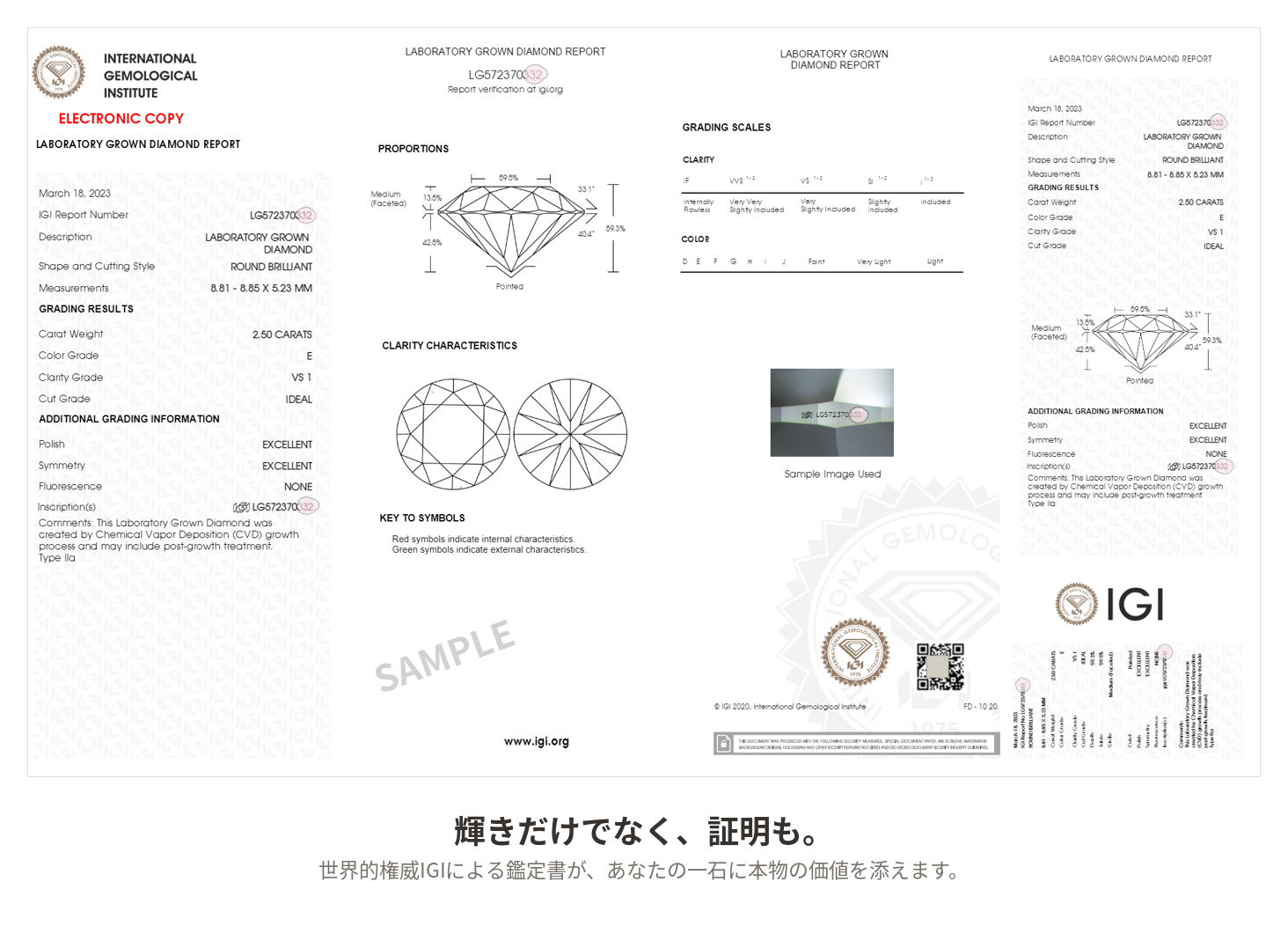 IGI鑑定書サンプル