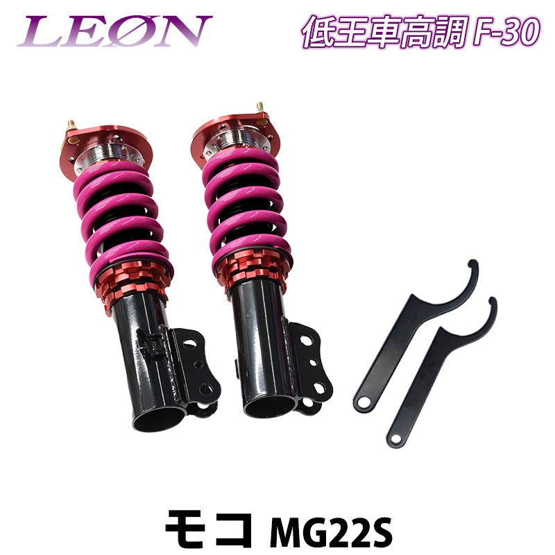 ⥳ MG22S 㲦 F-30 ֹĴå եȤΤ  LEON 쥪