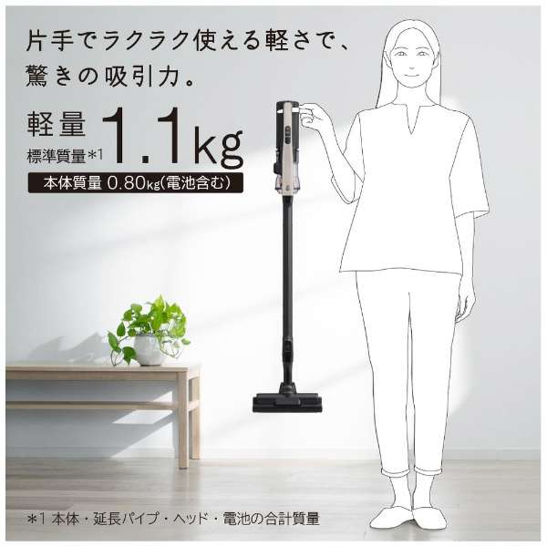 ���ƥ��å����ݽ��� [���������� /�����ɥ쥹] �١����塡PV-BL3L-C02