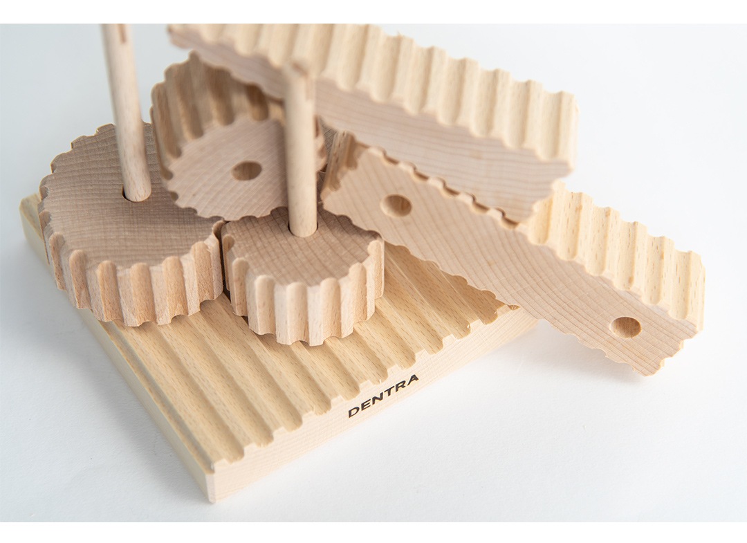 積み木 木工知育玩具 郡上八幡 はぐるまあそび デントラ DENTRA
