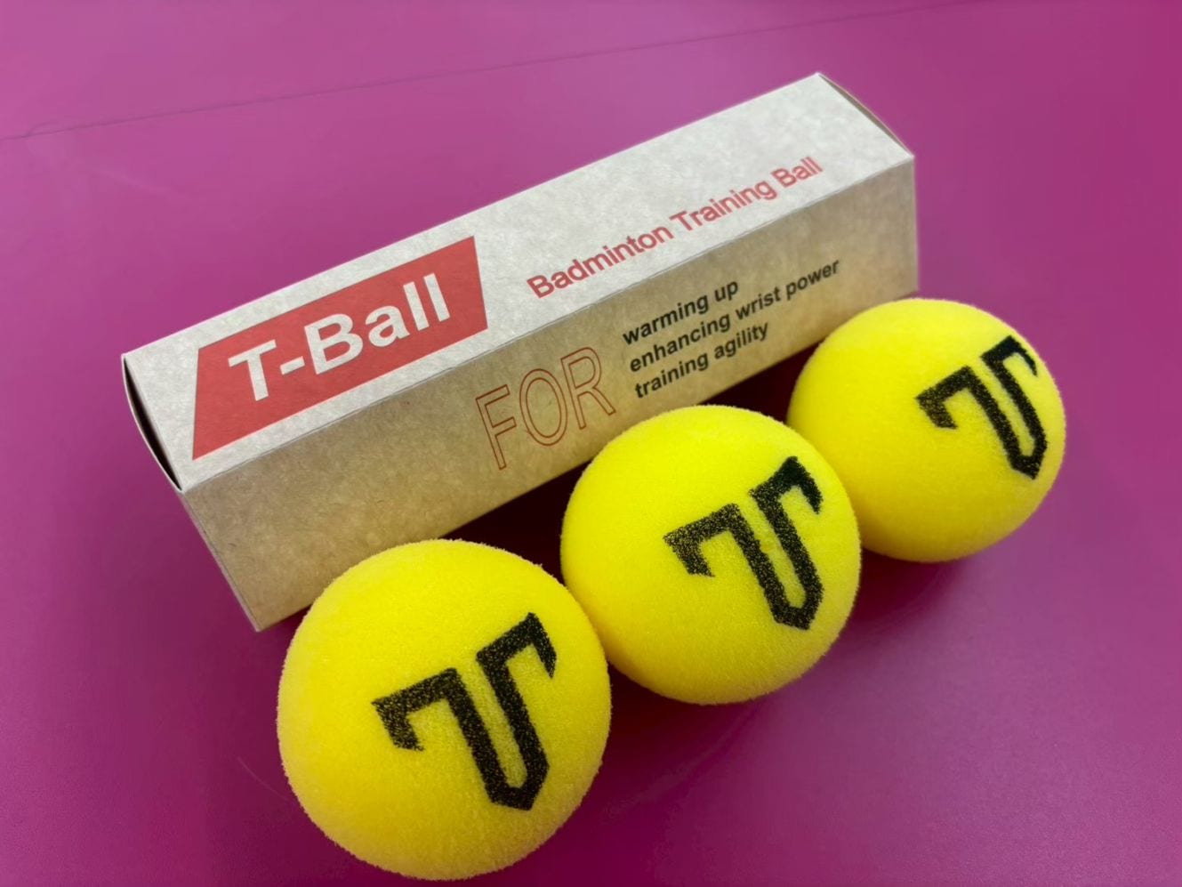 T-Ball バドミントン練習用壁打ちボール | バドミントン | ワダ