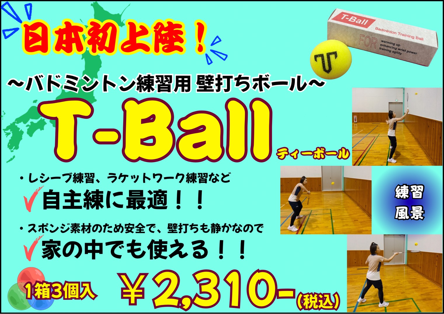T-Ball バドミントン練習用壁打ちボール | バドミントン | ワダ