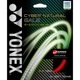 CYBER NATURAL GALE �ʥ��å�ĥ�ؤ��ѡ�