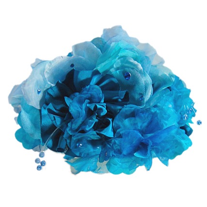 إåɥɥ쥹 - Sky Blue Flowers