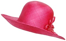 �Ĥй�˹�� - Summer Celebrity