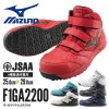 F1GA2200 オールマイティLSⅡ 21M