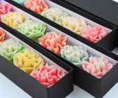 母の日限定 彩りカーネーション練りきり6個入｜和菓子ギフト 【冷凍】