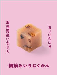 大阪ええYOKAN あん庵スペシャルセットwith秀吉(8種入り・風呂敷なし)