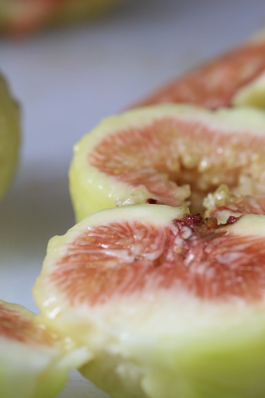 羽曳野丘陵いちじく畑　10個入り