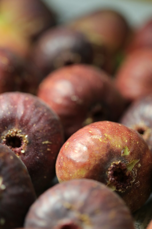 羽曳野丘陵いちじく畑　10個入り