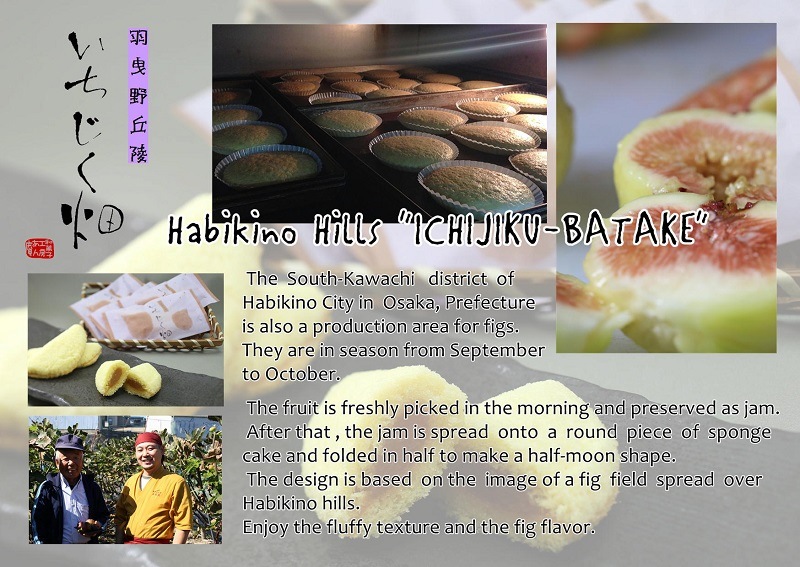 羽曳野丘陵いちじく畑 20個入り