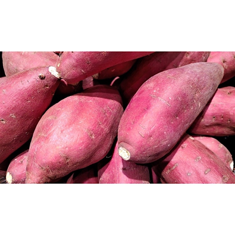 芋づる式 大阪すいーとぽてと 10個入り