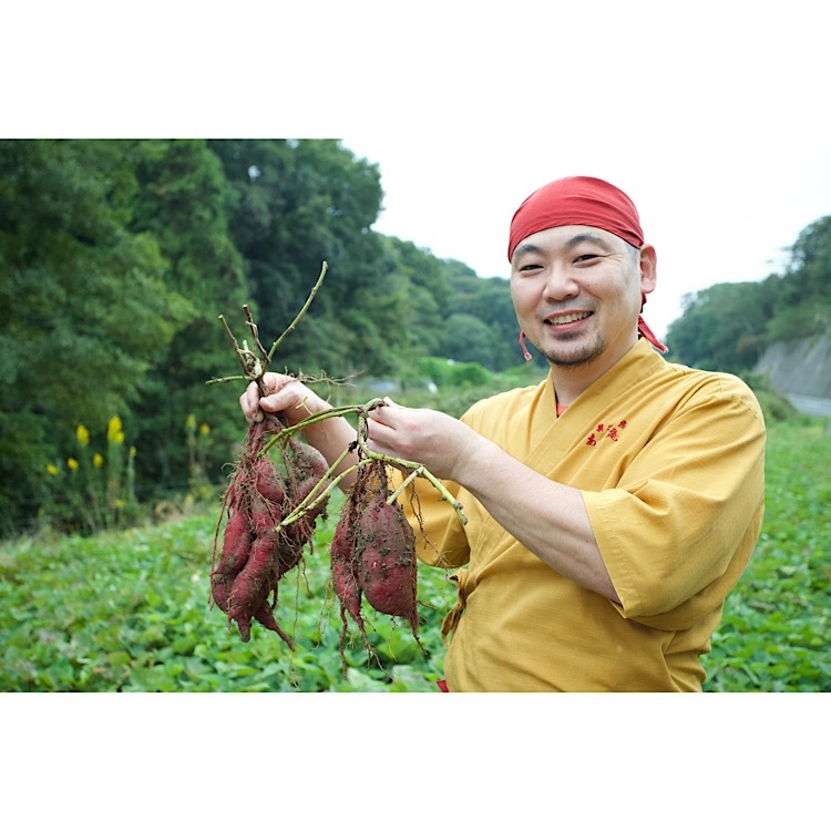芋づる式 大阪すいーとぽてと 10個入り