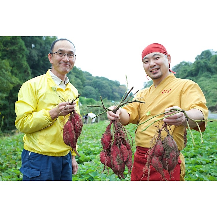 芋づる式 大阪すいーとぽてと 10個入り