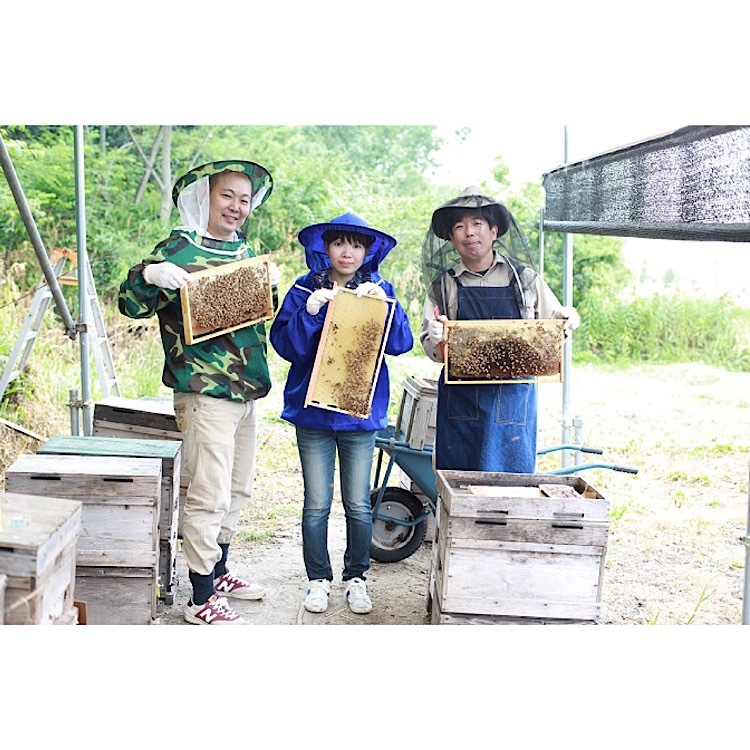 芋づる式 大阪すいーとぽてと 10個入り