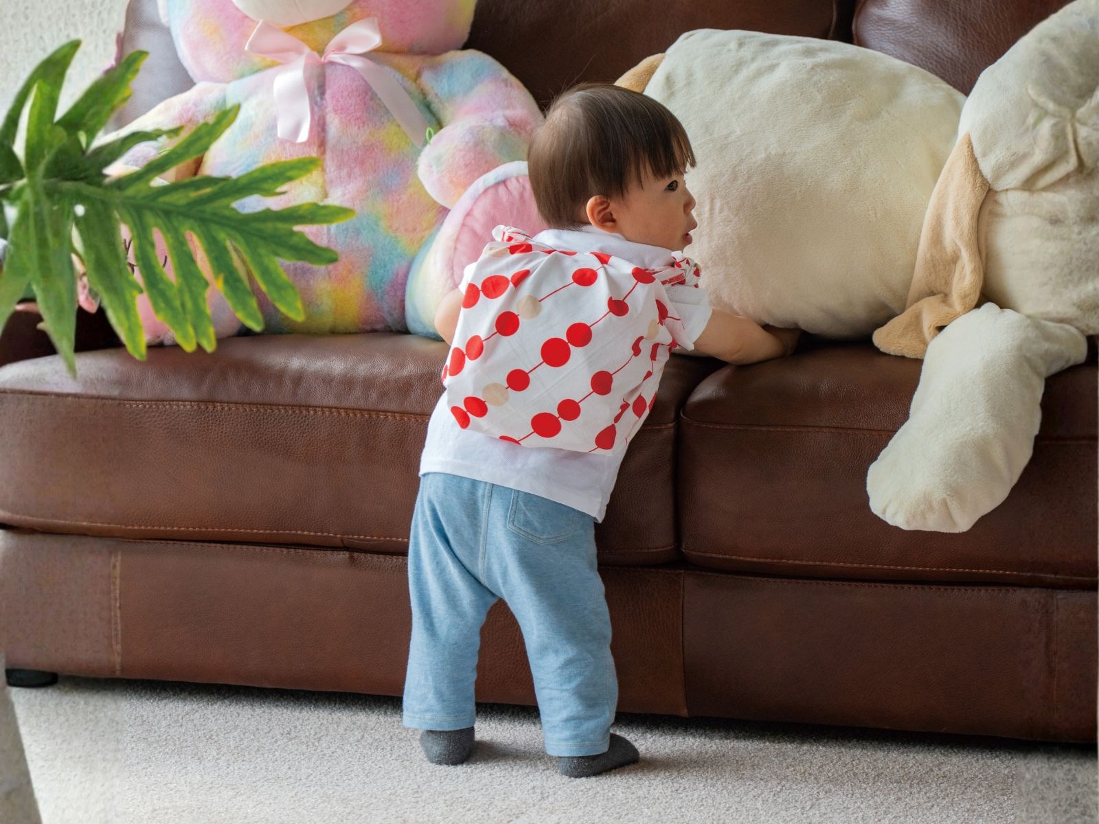 一升餅(紅白結風呂敷付)