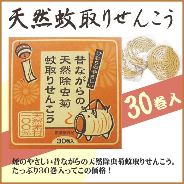 �������� �� ŷ������ �� 30����