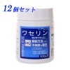 �糧��� 100g 12�ĥ��å�