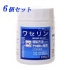 �糧��� 100g  ��������  6�ĥ��å�