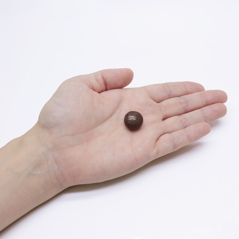 ����Τɰ� ���� 54γ ��6�� ���컺�������� �ϡ��֥������۹� ������