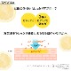 ���������� ˢ������ �ӥ��ߥ�CͶƳ�� ����ˢ���� ����300ml ��1�� + ����250ml ��1�� ���å� �ӥ��ߥ�� ���̷Ϥι�� �ӷꥱ�� ������