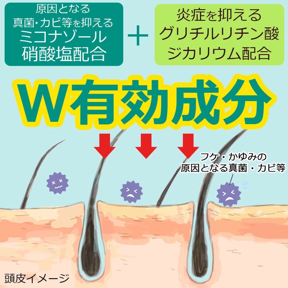 �ե� �����ס� �����ǥ����� ���in�����ס� ����400��L+ ���ؤ�1000��L���å� �դ� ���� ����� �ߥ��ʥ����� ������ ����������