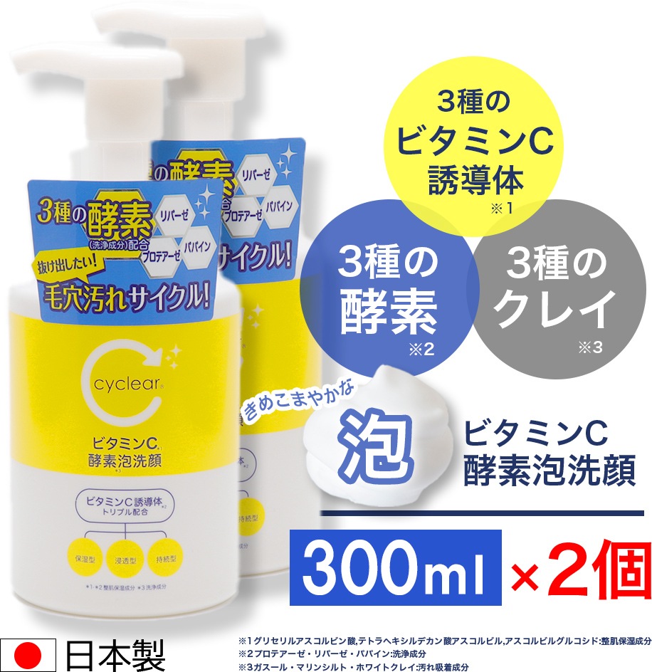 �ӥ��ߥ�CͶƳ�� ˢ������ ����ˢ���� 300ml ��2�� �ӥ��ߥ�� ���̷Ϥι�� �ӷꥱ�� ������