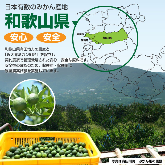 ץ Ĥߤ 祵ץ ֥롼إڥ  270γ 4ĥå