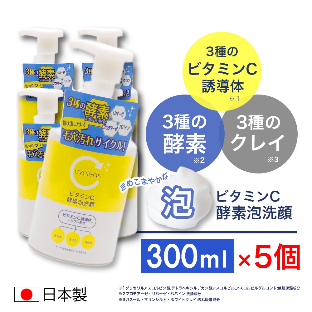 �ӥ��ߥ�CͶƳ�� ˢ������ ����ˢ���� 300ml ��5�� �ӥ��ߥ�� ���̷Ϥι�� �ӷꥱ�� ������