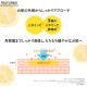 �ӥ��ߥ�CͶƳ�� ˢ������ ����ˢ���� 300ml ��5�� �ӥ��ߥ�� ���̷Ϥι�� �ӷꥱ�� ������