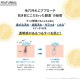 �ӥ��ߥ�CͶƳ�� ˢ������ ����ˢ���� 300ml ��5�� �ӥ��ߥ�� ���̷Ϥι�� �ӷꥱ�� ������