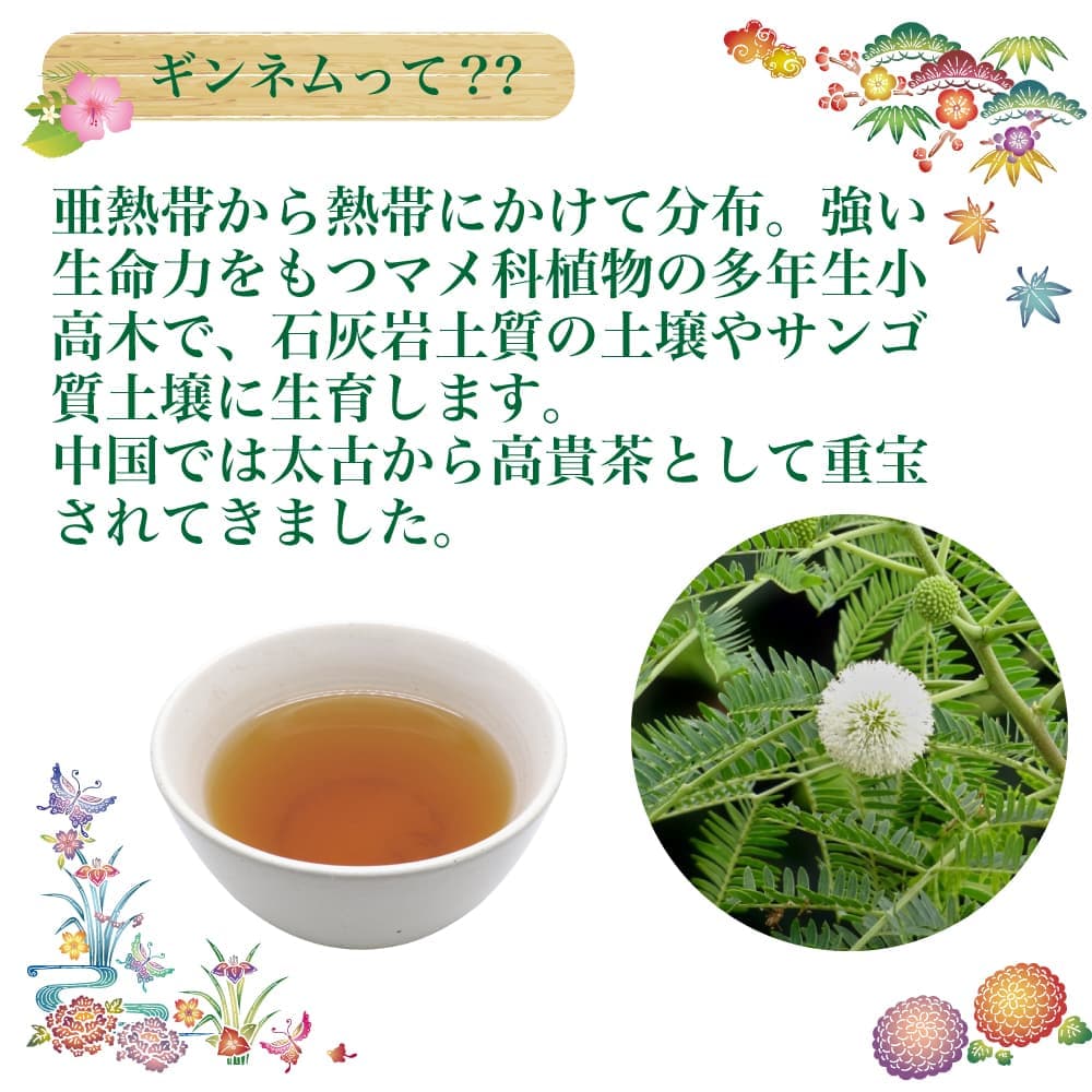 ������ �ƥ����Хå� 4g��60�� ��2�� �Υ󥫥ե����� ���츩������ͥ�