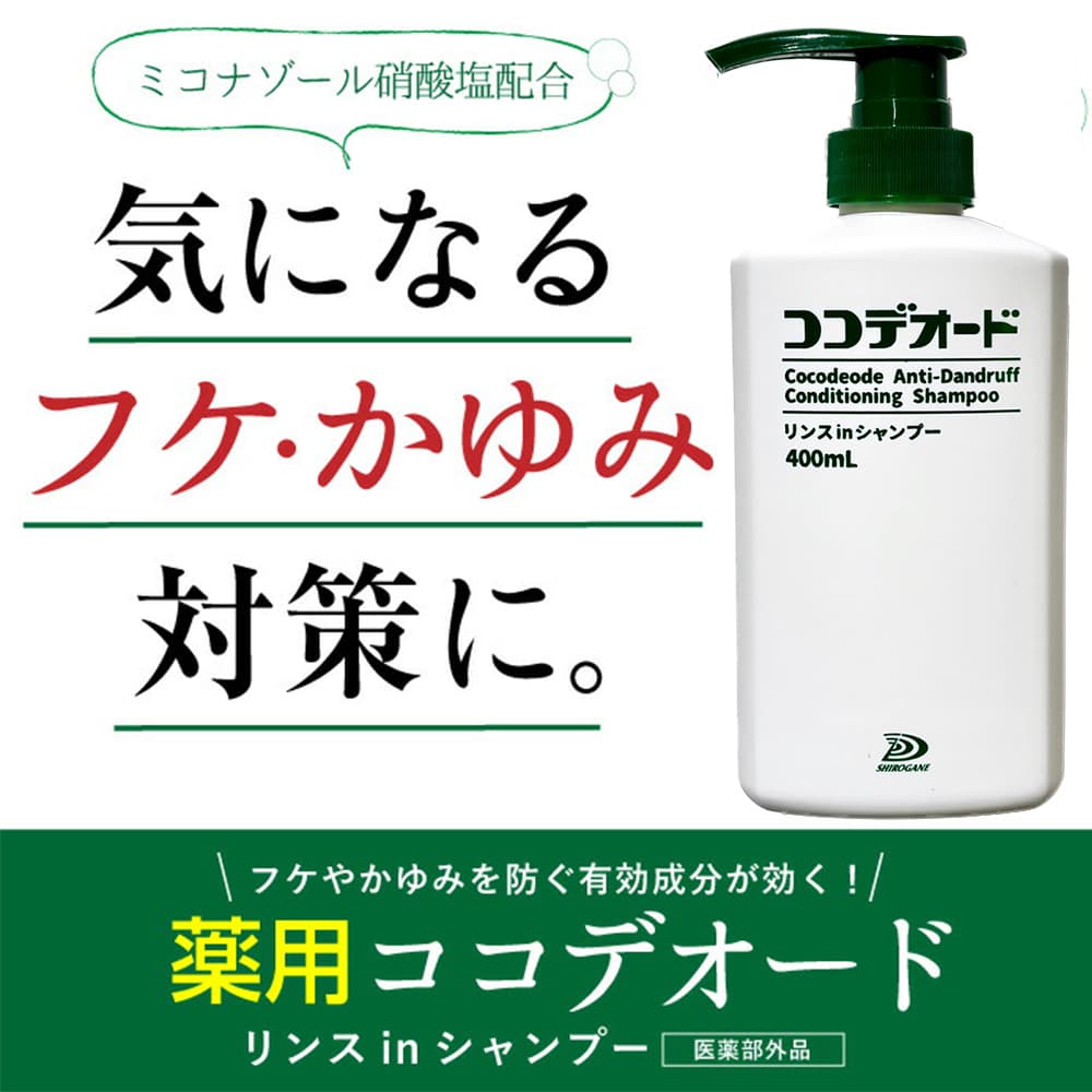 �ե� �����ס� �����ǥ����� ���in�����ס� 400��L��5�ܥ��å� ��2000mL �դ� ���� ����� �ߥ��ʥ�����˻��� ������ ����������