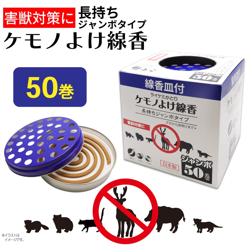�����к� ����Τ褱���� Ĺ���������ܥ����� ���Ữ�� 50�� �ä褱���� �饤���ߤ��Ȥ� ������