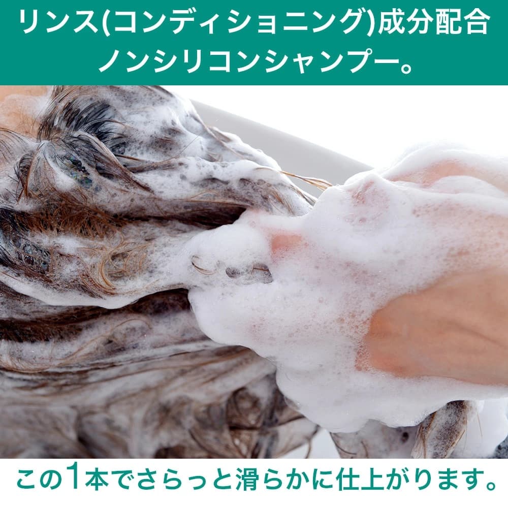 �ե� �����ס� �����ǥ����� ���in�����ס� 400��L��2�ܥ��å� ��800mL �դ� ���� ����� �ߥ��ʥ�����˻��� ������ ����������