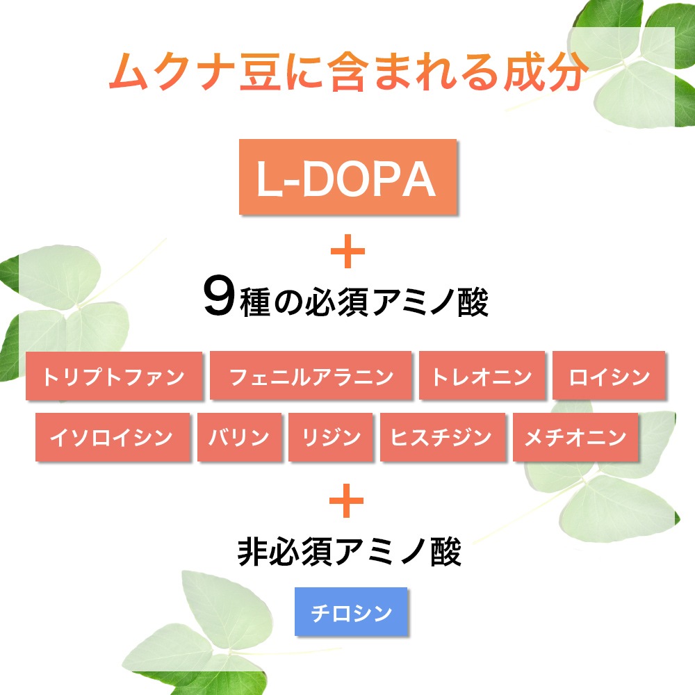 ���९��Ʀ �ѥ����� 500g L-�ɡ��� ���ߥλ� ̵ź�� ̵����