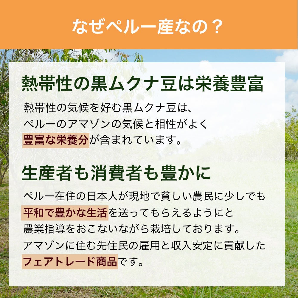 ���९��Ʀ �ѥ����� 500g L-�ɡ��� ���ߥλ� ̵ź�� ̵����