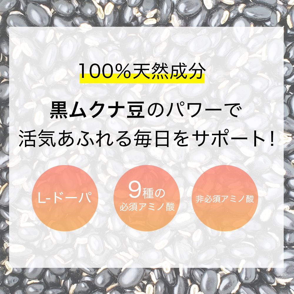 ���९��Ʀ �ѥ����� 500g L-�ɡ��� ���ߥλ� ̵ź�� ̵����